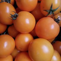 Gelbe Tomaten
