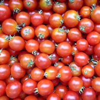 Verschiedene Sorten Tomaten